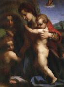 Andrea del Sarto, Our Lady of sub